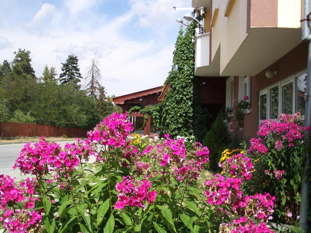 Guest House Zodiac Samokov Exterior foto